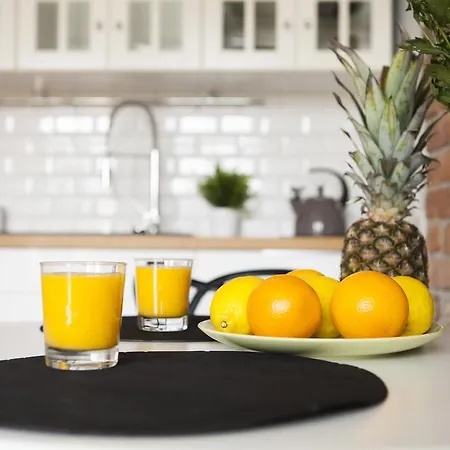 아파트 Homewell Pod Szczerbatym 포즈난